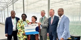 VNG ta instituí Caribendesk