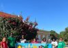 Komishon Herensia Kultural Rincon a risibí arte kreá pa bishitantenan