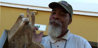 Musik, kanto, baile i farándula (16) — Pa: Bòi Antoin