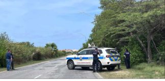 Un echo tragico: Trahado a electrocuta mientras cu e tabata cortando mata