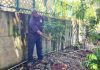 Distribushon mata di fruta