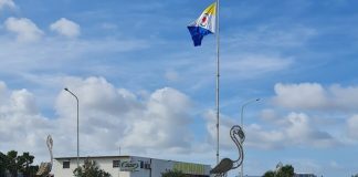 Rotònde falta mantenshon