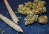 Diskushon pa legalisá Mariwana ta sigui