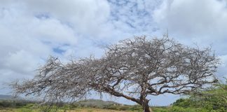 NOS NATURALESA