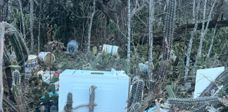 Fiskal mayó Walter Kupers: Por bai spera mas persiguishon delitonan fiskal