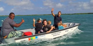 Ladronisia di motor di boto