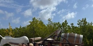 Eksplorando naturalesa