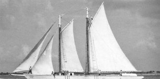 LAMAN TA DUNA, LAMAN TA TUMA Outor: Bòi Antoin