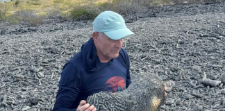 Piedra ku ta keda drif