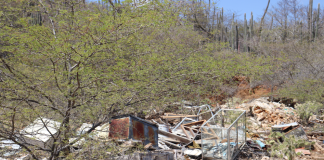 Shushi den naturalesa Bèrgwensa i mahos