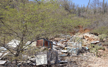 Shushi den naturalesa Bèrgwensa i mahos