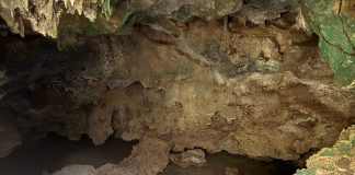 Bacuna: silensio i bunitesa brutu ta bini huntu (2