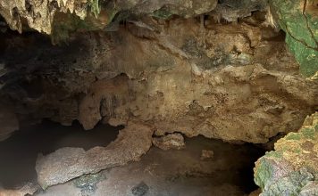 Bacuna: silensio i bunitesa brutu ta bini huntu (2