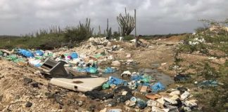 Di Landfill i Europol Pa: Auke van der Berg