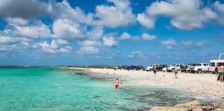 Bos di e isla E hopi kultura di Boneiru Skirbí pa: Island Collective