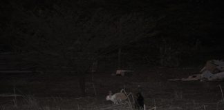 Konènchi parti naturalesa