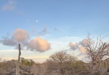 CHANTI WAWA — Bishita na Pos di Pepe