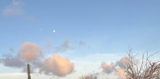 CHANTI WAWA — Bishita na Pos di Pepe