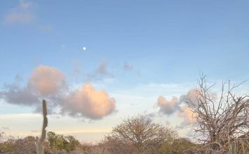 CHANTI WAWA — Bishita na Pos di Pepe