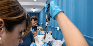 Hasiendo mas difísil pa refnan mantené e diversidat genétiko Poblashon di koral den Karibe birando mas isolá