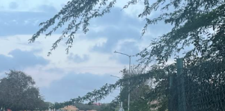 Asera mester di atenshon