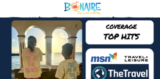 Resultado relashon públiko i alkanse medionan di komunikashon