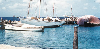 LAMAN TA DUNA, LAMAN TA TUMA Outor: Bòi Antoin