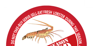 Prohibí pa kue i kome Temporada di kref ta bai sera