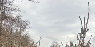 Ehérsito Real ta hasi ehersisio na Boneiru