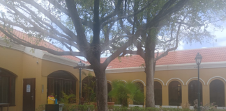 Kaso Wim van Huizen a bolbe haña rabu