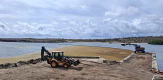 Limpiesa di sargassum