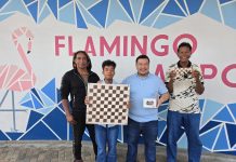 Ekipo di dam na kampionato Panamerikano