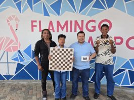 Ekipo di dam na kampionato Panamerikano