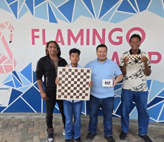 Ekipo di dam na kampionato Panamerikano