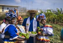 Kosecha di berdura na SDKK ta mustra resultado di resosialisashon