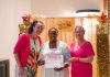 Kulminashon kurso ‘Casemanager Dementie’