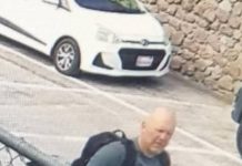 Poko probabel ku kanadó Hulandes pèrdí ta na bida ainda