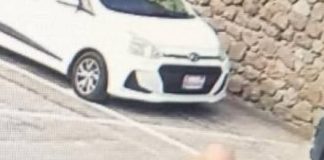 Poko probabel ku kanadó Hulandes pèrdí ta na bida ainda