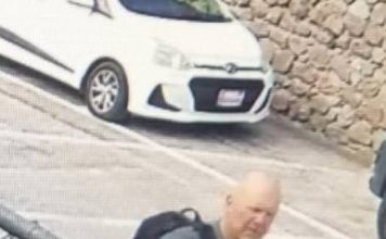 Poko probabel ku kanadó Hulandes pèrdí ta na bida ainda