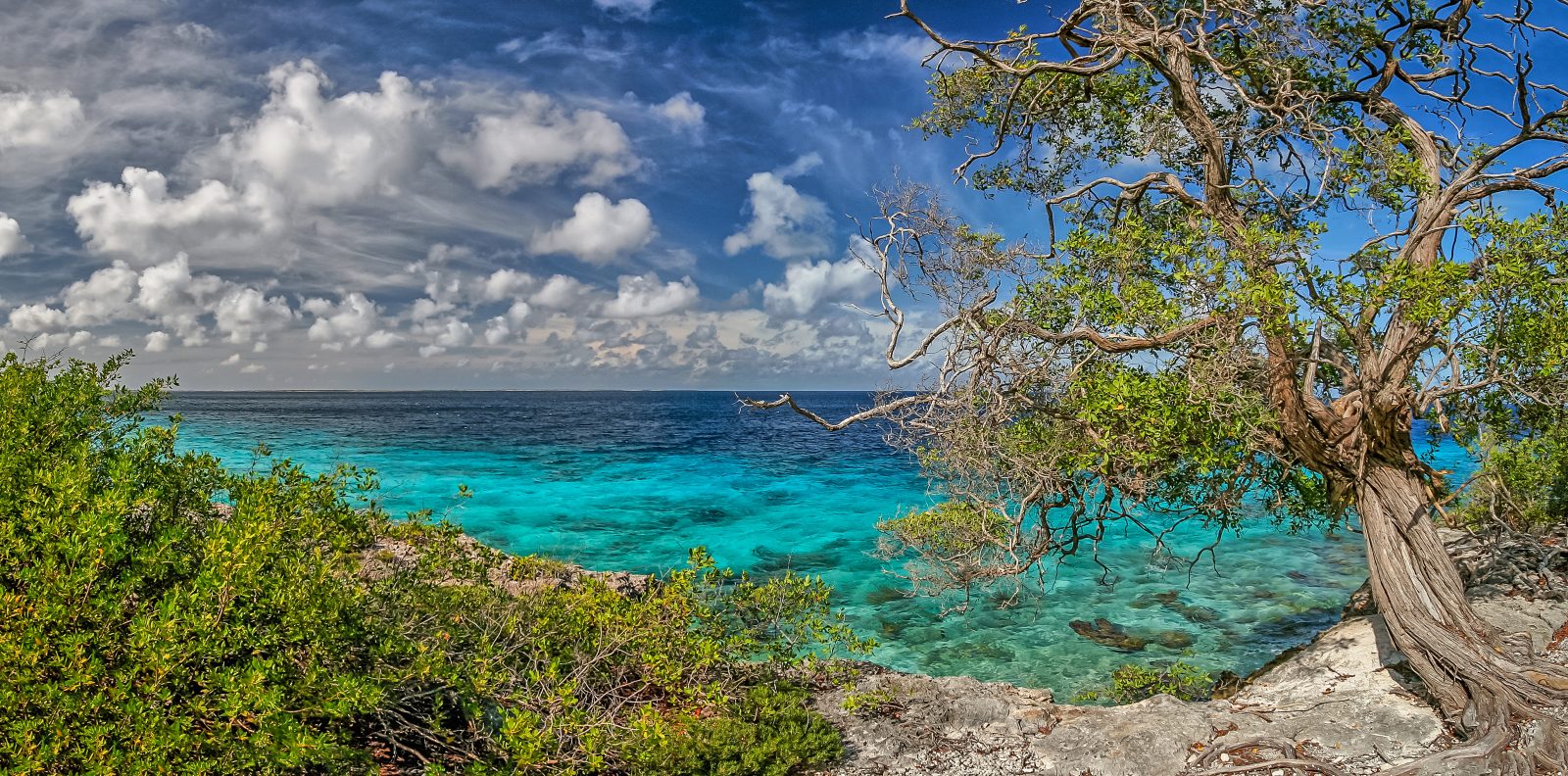 Otro rapòrt kambio di klima sin Boneiru | Extra Bonaire