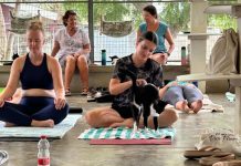 Seshon yoga di pushi