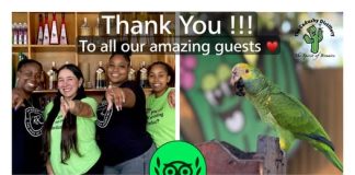 Pa dies aña siguí Cadushy Distillery ta risibí ‘Tripadvisor Travelers Choice Award’
