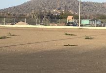 Deportistanan mes por hasi algu