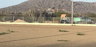 Deportistanan mes por hasi algu