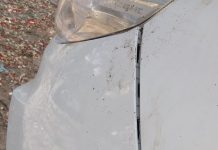 KACHÓ AGRESIVO TA TERORISÁ ‘DEN STASHI’