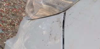 KACHÓ AGRESIVO TA TERORISÁ ‘DEN STASHI’