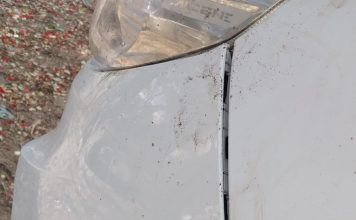 KACHÓ AGRESIVO TA TERORISÁ ‘DEN STASHI’