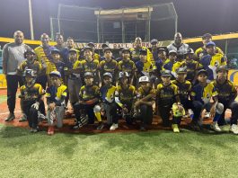 Preparashon pa World Series Mustang 10U
