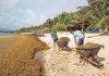 Boneiru tin suerte ku nan no ta yega kosta pabou Henter Caribe konfrontando problema ku sargaso