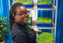 Lansamentu Simplygreens Boneiru Produsí i kumpra kuminda lokalmente plaka ta keda dentro ekonomia di e isla